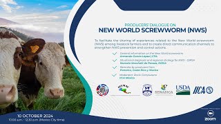 Producers’ Dialogue on New World screwworm NWS [upl. by Omrellug450]