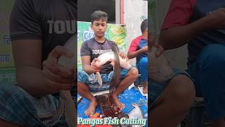 Incredible Giant Pangas Fish Cutting Techniques  Fish Cutting Skills [upl. by Eizeerb]