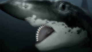 Helicoprion  Strangest Prehistoric Shark Facts [upl. by Laural]