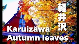 軽井沢の紅葉 Autumn leaves in Karuizawa 秋の軽井沢の紅葉の名所 軽井沢観光 日本の紅葉 軽井沢旅行 長野観光 長野旅行 紅葉 名所 観光地 [upl. by Picco]