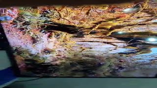 Samsung led tv double picture How to fix solution [upl. by Orth]