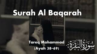 Tareq Mohammad Surah Al Baqarah Ayah 3869 Beautiful Voice Heart Melting Recitation سورة البقرة [upl. by Jacinto]