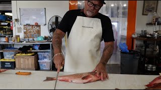 How to fillet a Rockfish [upl. by Glynn]