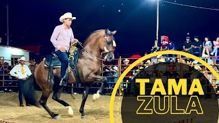 🏆CONCURSO DE CABALLOS BAILADORES EN TAMAZULA DURANGO [upl. by Ecnerwaled]