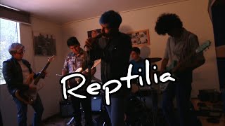 Reptilia  The Strokes  Band Cover [upl. by Ittap]