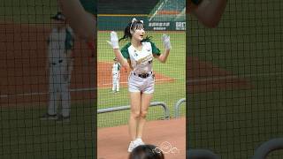 美女Mingo 柏融大王 Mingo 台鋼雄鷹啦啦隊 台湾プロ野球チアwingstars チアリーディングの女の子 안지현 2024924 [upl. by Chrisoula]