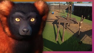 Walkthrough Red Ruffed Lemurs  Planet Zoo Franchise Mode 4k60fps [upl. by Akinat]