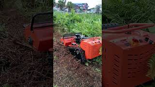 Rc flail mower 15hp in action [upl. by Howlend624]