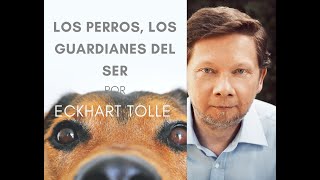 Los perros y su conexión ESPIRITUAL por Eckhart Tolle [upl. by Aldercy]