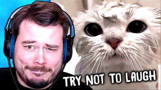 Your Funny Videos Made My Day Better  Try Not To Laugh Challenge [upl. by Caron]