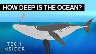 This Incredible Animation Shows How Deep The Ocean Really Is [upl. by Ramraj]