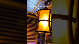 Canopy rooftop bar and lounge gaur city mall  noida  rooftop bar sky bar [upl. by Eralcyram]