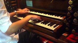 Nuvole Bianche  ORGAN VERSION by TheAdamPiano HD [upl. by Euphemiah261]