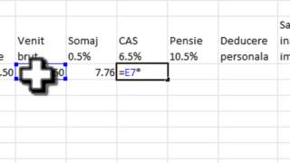 stat de salarii simplu cu Excel [upl. by Teage]