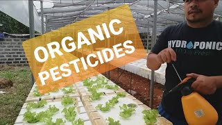 PEST CONTROL  ORGANIC PESTICIDES FOR ALL  SNAP HYDROPONICS [upl. by Misa]