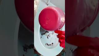 Unused Toilet Cleaning ASMR You Never Knew You Needed  Oddly Satisfying video [upl. by Otsirave]