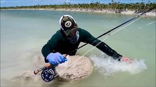 Fly Fishing for Jack Crevalle in Small Channels of Ascension Bay [upl. by Arney]