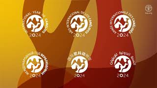 International Year of Camelids 2024  visual identity reveal [upl. by Dettmer]