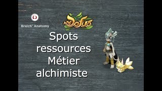 Dofus 243  Spots ressources métier Alchimiste [upl. by Brie]