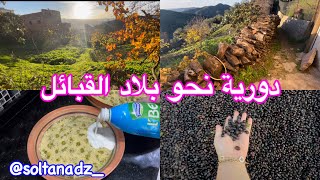 كيفاش كانت الاجواء في موسم جمع وجني االزيتون في دار عجوزتي ❤️ وسحر الطبيعة آلي بلا ما نحكيلكم عليه [upl. by Esaertal970]