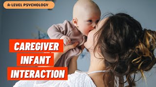 CaregiverInfant Interaction  Attachment  AQA Psychology [upl. by Anivlac]