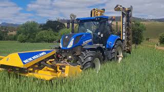 Cutting same triticale for silage 2024 hay season [upl. by Joselyn]