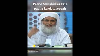 Peer o Murshid ka Faiz paane ka ek tareeqah ameereahlesunnat maulanailyasqadri dawateislami aam [upl. by Sulokcin216]