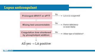 Antiphospholipid syndrome for medical student [upl. by Arakaj989]