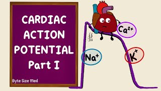 Ventricular Action Potential  Cardiac Action Potential  Part 1  Phases  Cardiac Physiology [upl. by Imef502]