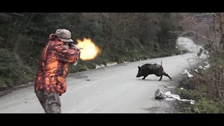 2023 YILININ EN GÜZEL DOMUZ AVLARI  THE BEST WILD BOAR HUNTS OF 2023 [upl. by Milo]