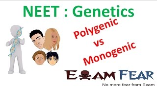 NEET Biology Genetics  Polygenic vs Monogenic Polygenic and Environment [upl. by Elman]