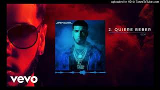 Anuel AA  Ella Quiere Beber Extended Dj Spicy [upl. by Akimrehs]