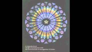 De Profundis  Gluck Kammerchor VOX KSBG [upl. by Melody262]