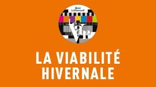 Des nouvelles du Département  La viabilité hivernale [upl. by Yssak]