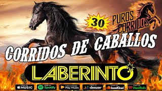 Grupo Laberinto Corridos de Caballos Famosos 🏇 Los Mejores Corridos De Caballos De Laberinto Mix 🏇 [upl. by Sivad567]