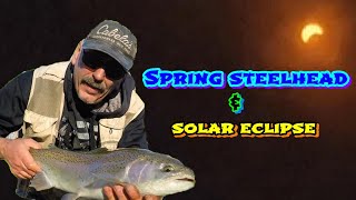 In Search of April Steelhead amp Solar Eclipse [upl. by Keane]