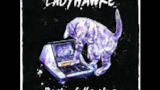 Ladyhawke  Back Of The Van Instrumental [upl. by Damita]