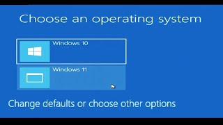 How To Install Dual Windows 10 and Windows 11 On The Same Computer [upl. by Perlis912]