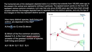 Phylogenetic tree analysis [upl. by Flor]