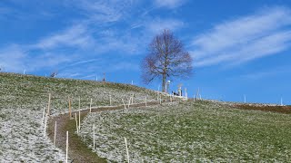 Alpenpanoramaweg Luzern  Malters Etappe 11 [upl. by Raynard409]