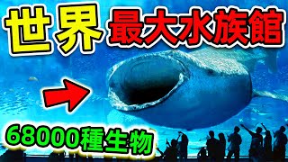 全世界最大的10個超級水族館！台灣只排第10，美國排名第4，第一名讓人意外，超過68000個海洋生物。世界之最top 世界之最 出類拔萃 腦洞大開 top10 最大水族館 [upl. by Toland]