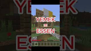 TÜRKE SPIELT MINECRAFT😂👌minecraft [upl. by Marcia20]