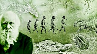 Evolution  What Darwin Never Knew  NOVA Full Documentary HD [upl. by Waldman]