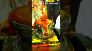 Om Mrityunjaya Mahadev Trahimam Sharnagatam मृत्युंजय महादेव त्राहिमाम शरणागतम् Mrityunjaya Mantra [upl. by Einohtna358]