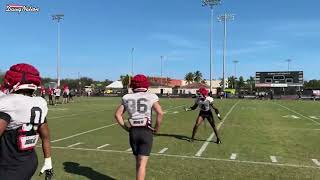 Georgia football team practice video from 2023 Orange Bowl [upl. by Nuawaj]