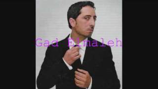 Gad Elmaleh  quotJsuis pas un bouffonquot  Lautre cest moi [upl. by Ardnatal]