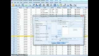 Datenaufbereitung SPSS [upl. by Alsi]