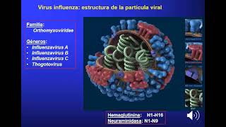 Virosis respiratorias  Micro 2 Cat 1 [upl. by Gnus]