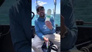 Best Flasher Fly Combination for Lake Michigan King Salmon Trolling [upl. by Warfeld615]