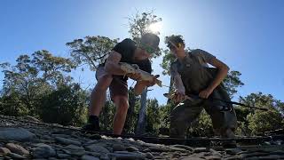 Trout Fishing Nile River Tasmania  Trout on Lures [upl. by Gideon497]